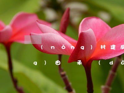 農(nóng)村建房，工人傷亡應(yīng)由誰承擔(dān)責(zé)任？